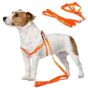 Postroj pro psa s vodítkem 125cm | oranžový je dokonalým řešením na dlouhé procházky s domácím zvířátkem. Délka vodítka: 125 cm.
