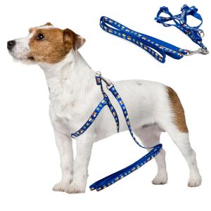 Postroj pro psa s vodítkem 125cm | modrý je dokonalým řešením dlouhé procházky s domácím zvířátkem. Délka vodítka: 125 cm.