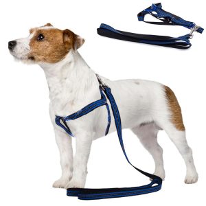 Postroj pro psa s vodítkem 125cm - reflexní | modrý má navíc reflexní pruhy, čímž se zvyšuje bezpečnost našeho domácího mazlíčka.