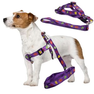 Postroj pro psa s vodítkem 135x2.5cm | fialový je dokonalým řešením na dlouhé procházky s domácím zvířátkem. Délka vodítka: 135 cm.