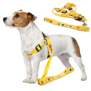 Postroj pro psa s vodítkem 135x2.5cm | žlutý je dokonalým řešením dlouhé procházky s domácím zvířátkem. Délka vodítka: 135 cm.
