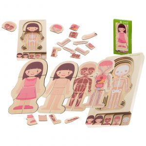 Dřevěné puzzle - lidské tělo | holčička