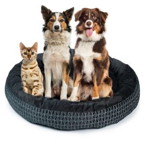 Pelíšek pro psa a kočku - černý velikost L