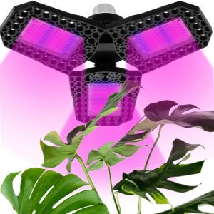 LED světla pro rostliny