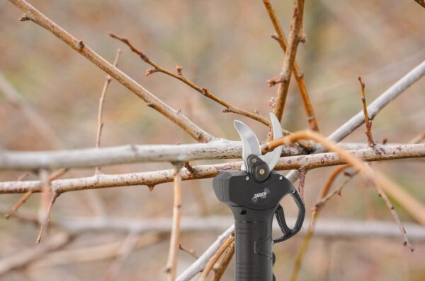 Akumulátorové zahradní nůžky, 30mm, 21V | Gardenline - Image 8