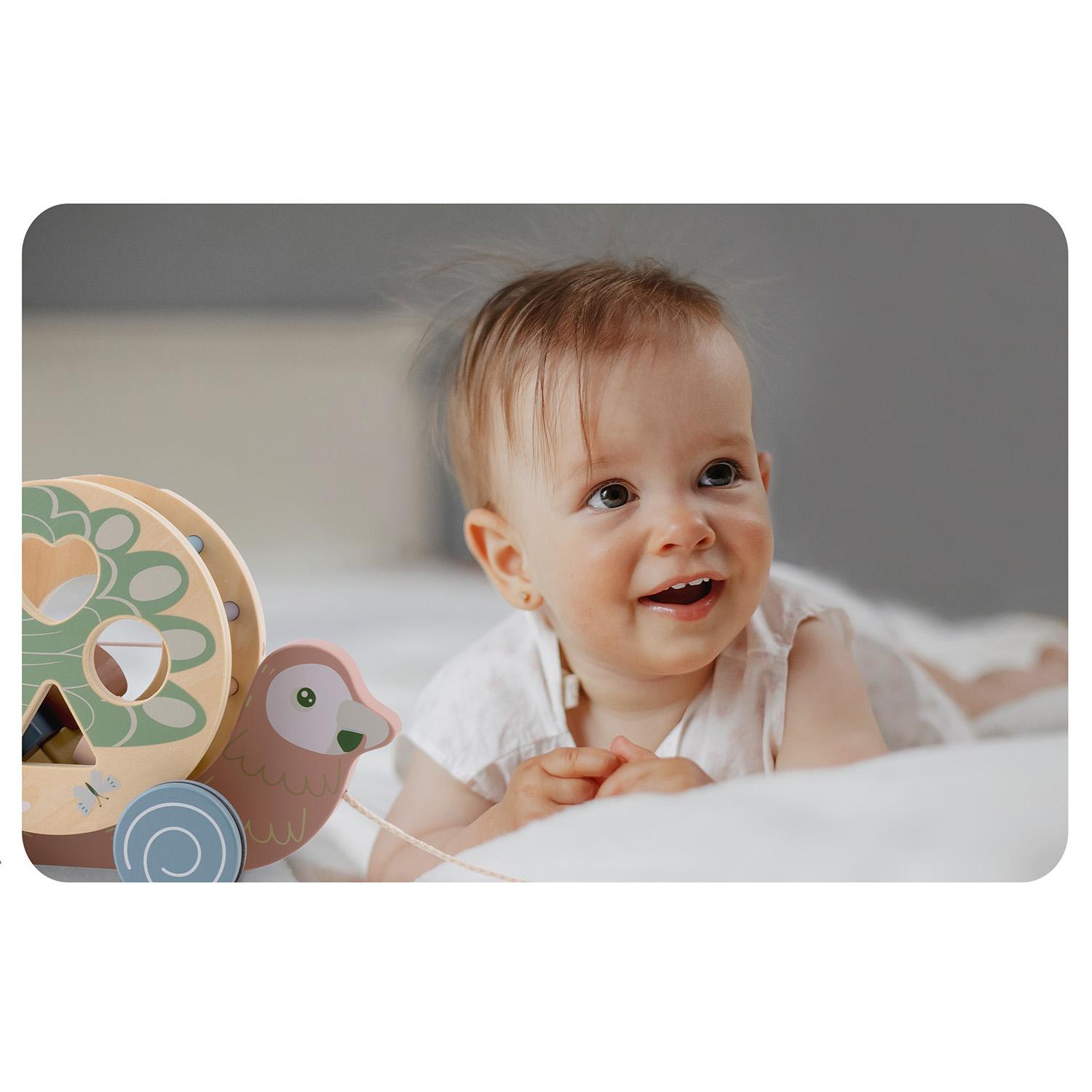 Dětská dřevěná hračka NK-854, papoušek | Nukido - Image 12