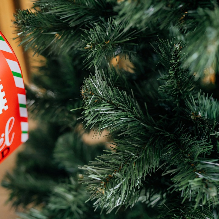 Vánoční stromek, 220cm | klasická borovice - Image 7