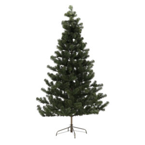 Vánoční stromek Renata | 210cm